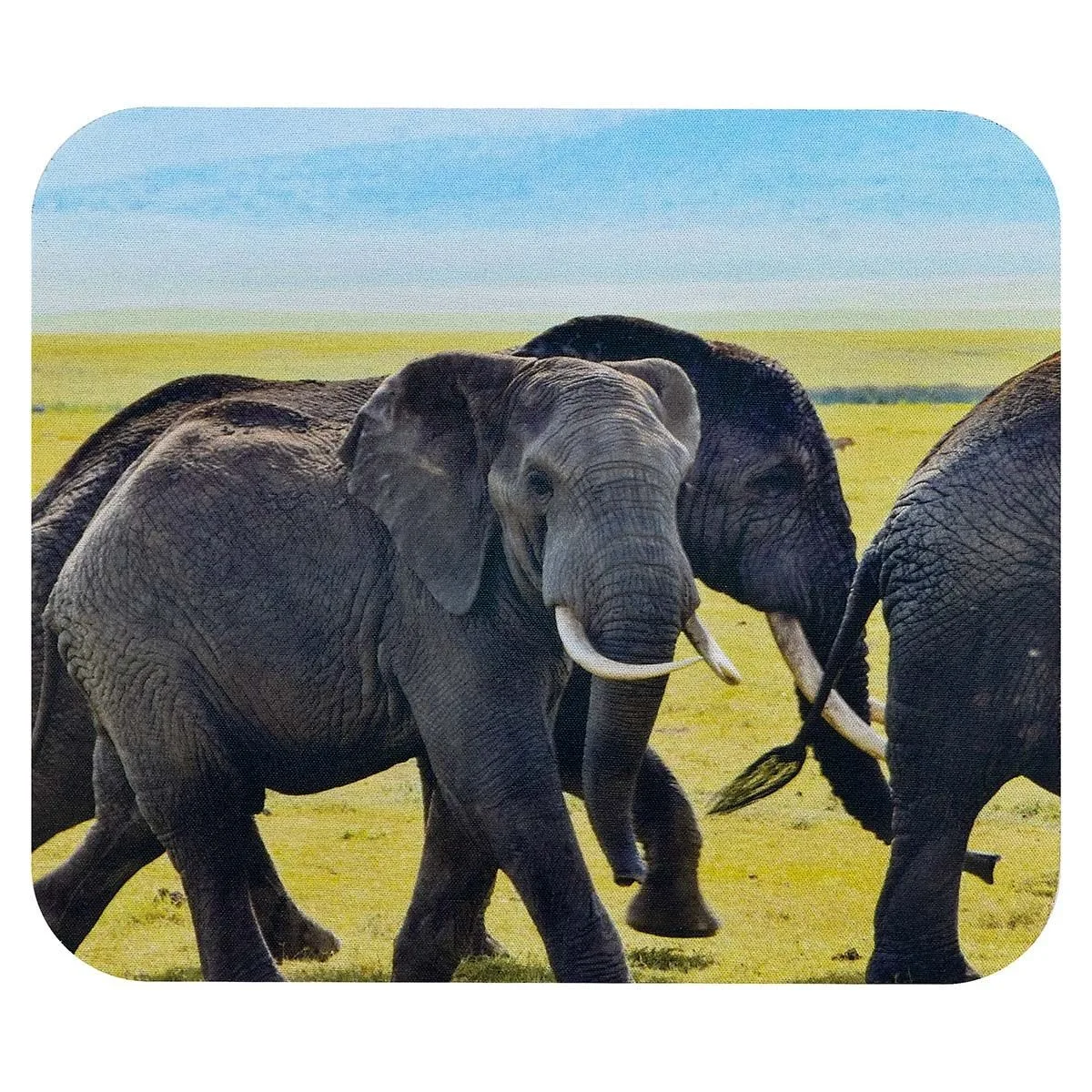 Mouse Pad Rectangular 7 Mouse Pad Rectangular - Imagen 7