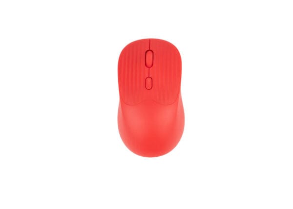Mouse Jerry - Imagen 5