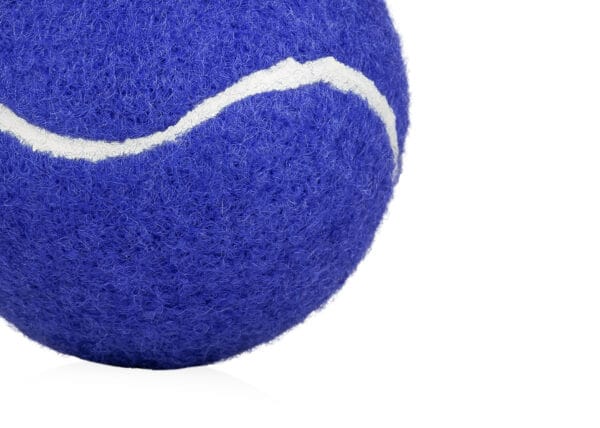 Pelota para Mascotas Marley - Imagen 5
