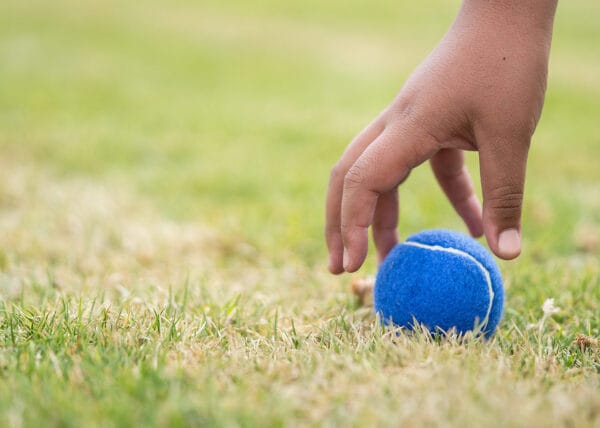 Pelota para Mascotas Marley - Imagen 7