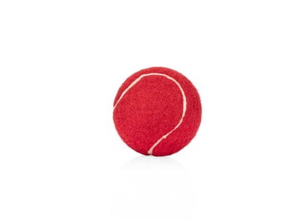 Pelota para Mascotas Marley - Imagen 8