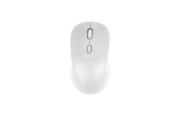 Mouse Jerry - Imagen 11