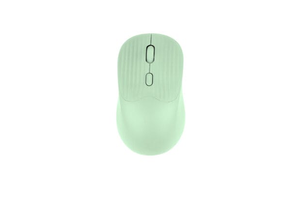 Mouse Jerry - Imagen 13